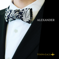 ALEX Bow Tie